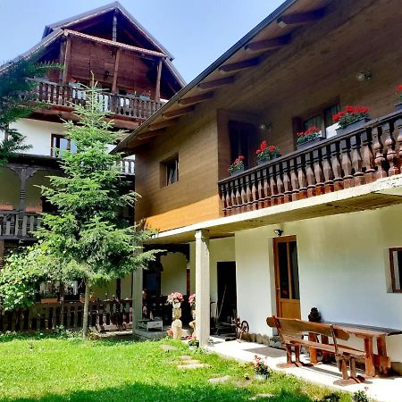 Pensiunea Perla Maramuresului Borsa  Exterior photo
