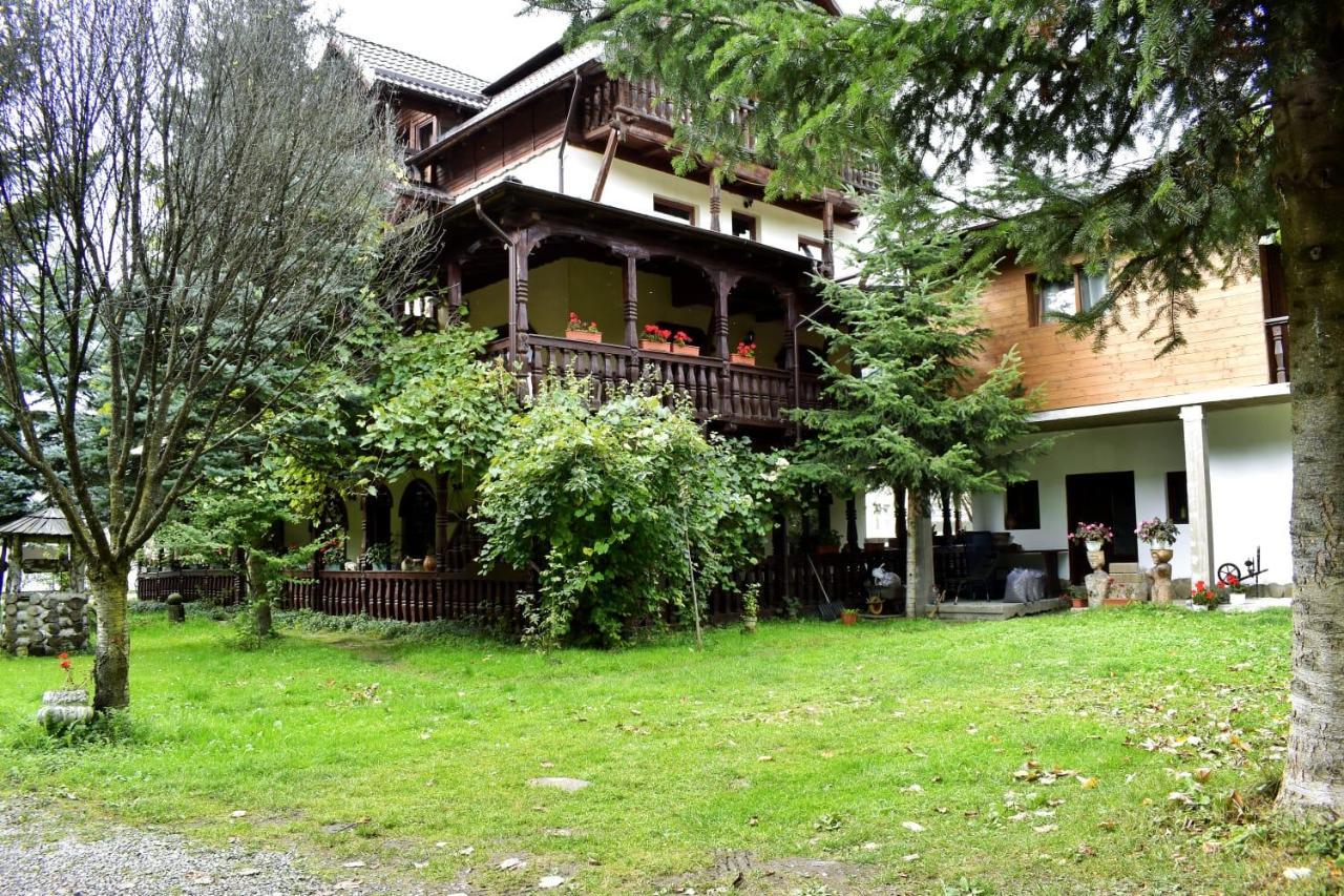 Pensiunea Perla Maramuresului Borsa  Exterior photo